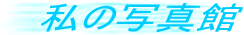 ���̎ʐ^��